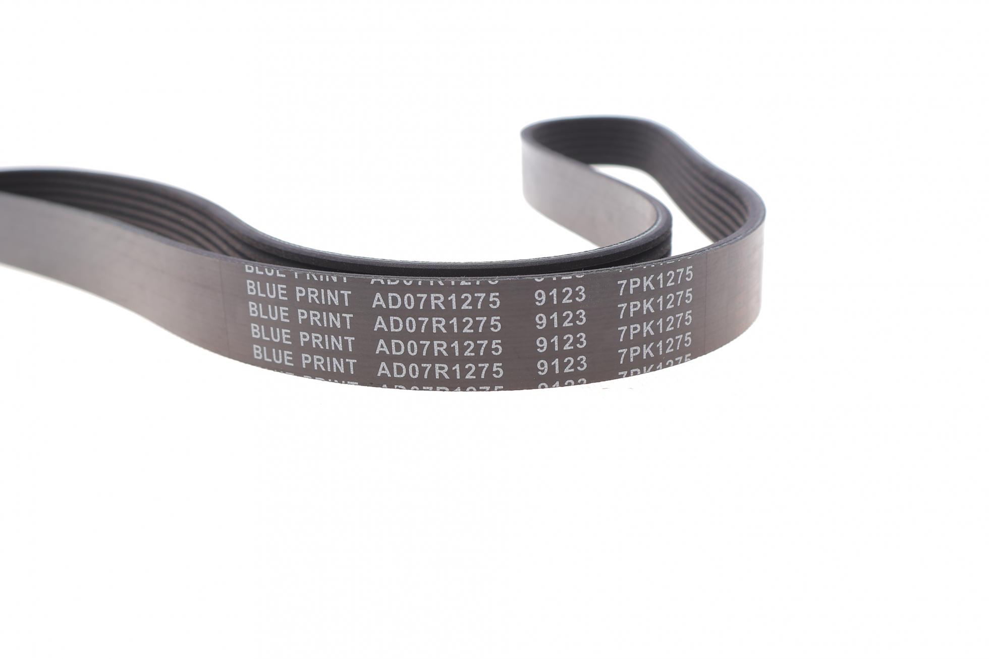 AD07R1275 BLUE PRINT